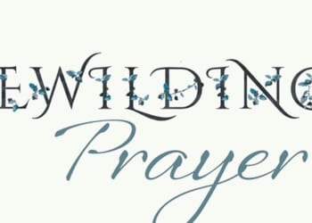 New books just published