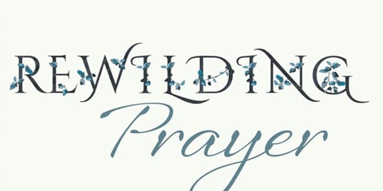 New books just published