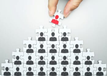 The CEO identity crisis: The key fault line