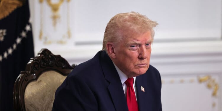 America stops all asylum decisions just hours after Donald Trump's promise to shut out 'third world countries'