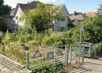 Gardener who transformed neglected public footpath evicted 'after planting bamboo'