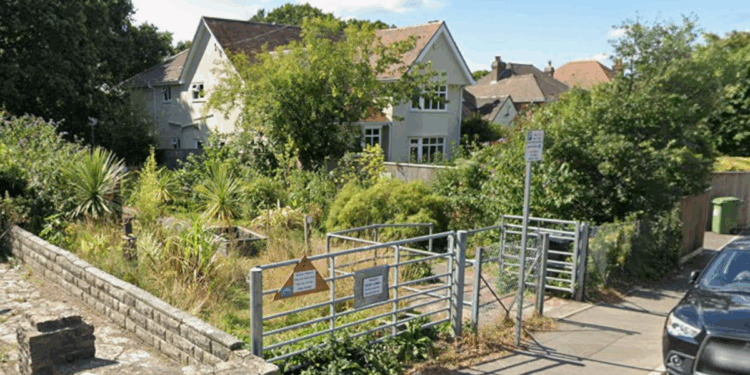 Gardener who transformed neglected public footpath evicted 'after planting bamboo'