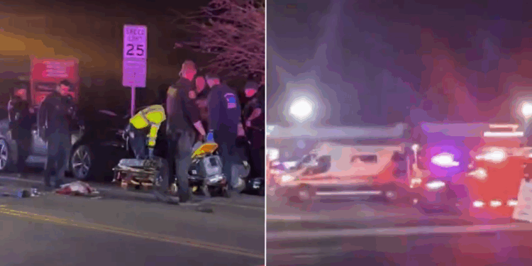 Four killed after 14 people shot at US child's birthday party in 'targeted' mass attack