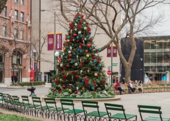 Travel: Festive Chicago confronts a difficult season