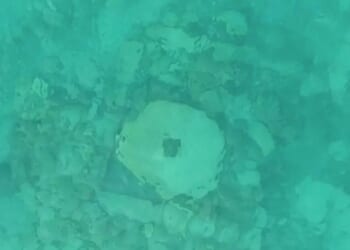 Archaeology breakthrough as incredible Atlantis city discovered after 525 years | World | News