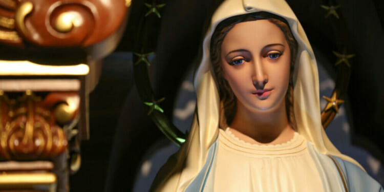 Bishop Mutsaerts: There's no good reason why we can't call Mary 'Co-Redemptrix'