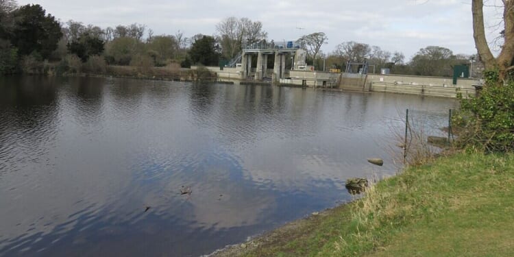 Body discovered in reservoir after woman found injured in house | World | News