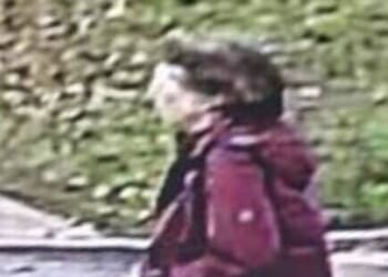 Body found in woodland in search for missing woman | UK | News