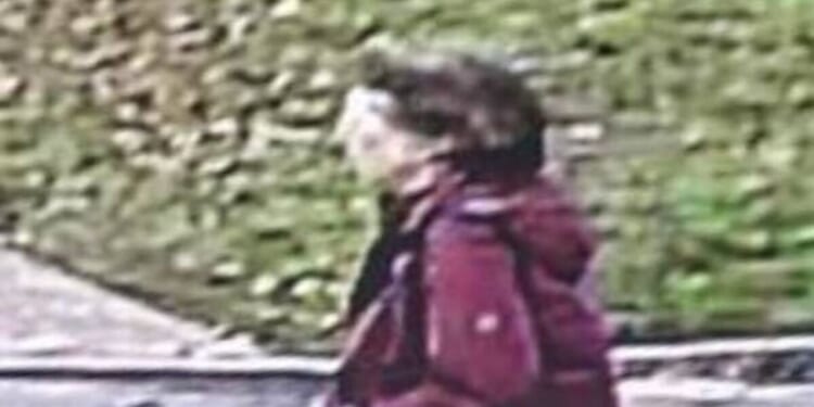 Body found in woodland in search for missing woman | UK | News