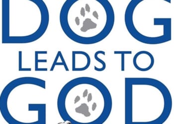 Books for pet owners this Christmas