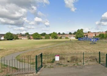 Boy, 5, mauled by dog while playing in park in horror attack - 'Lasting scars' | UK | News