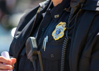 Brickbat: Stalker With a Badge