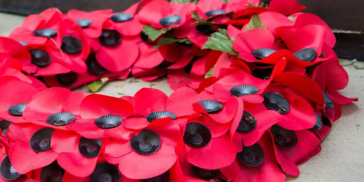 Council ‘wokery’ claims after volunteers told to pay £1k for Remembrance parade | UK | News