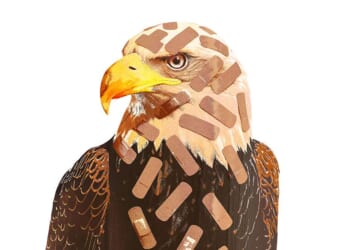 Court ruling on vaccine mandates takes broad view of 'public health'