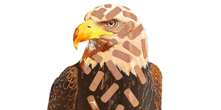 Court ruling on vaccine mandates takes broad view of 'public health'