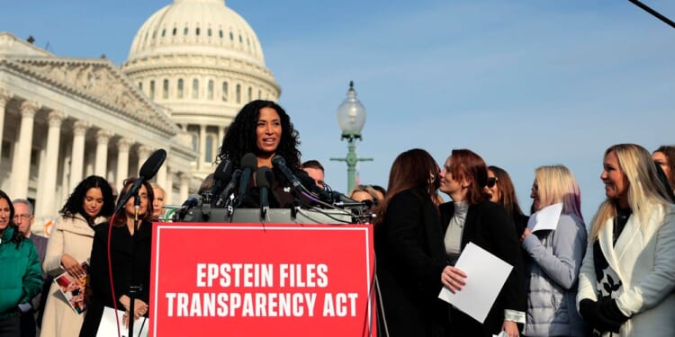 Democrats Love Epstein