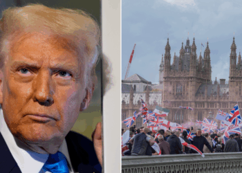 Donald Trump ‘could offer asylum’ to Britons prosecuted for views on immigration and gender