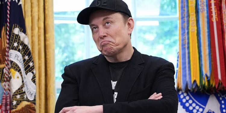 Elon Musk Encourages New Yorkers To Back Cuomo