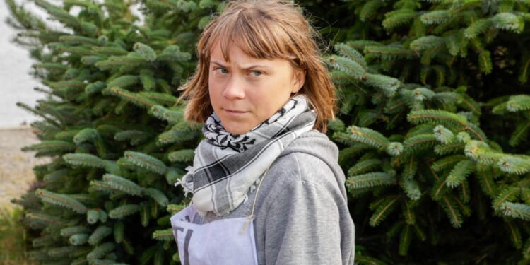 Energy Org Asks DHS to Deny Greta Thunberg Entry to USA