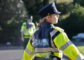 Five people in their 20s dead after two-car road crash