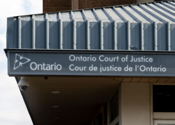 Freedom Convoy leader Tamara Lich to appeal her recent conviction