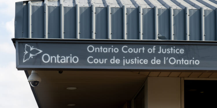 Freedom Convoy leader Tamara Lich to appeal her recent conviction