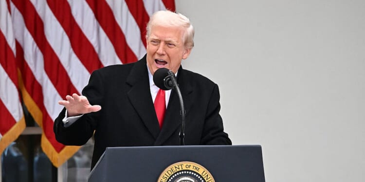 Georgia Prosecutor Who Took Over Fani Willis Case Drops Charges Against Trump