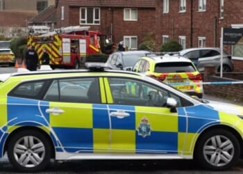 Halewood emergency: Armed police swarm residential street | UK | News
