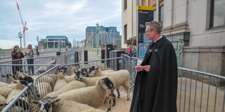 Have a go at the Church Times caption competition