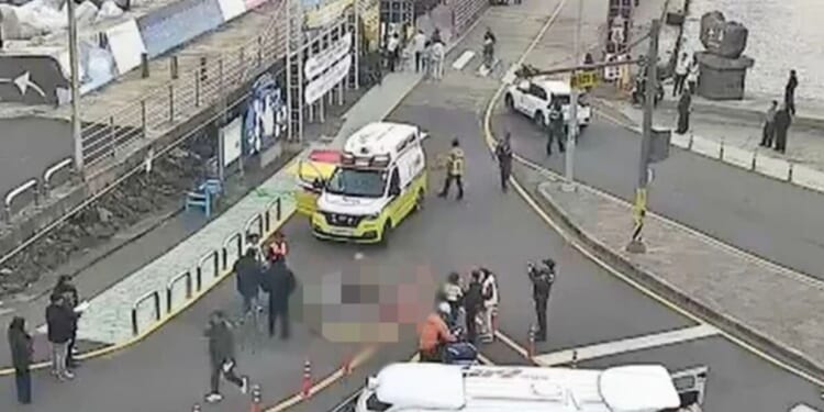 Horror as at least two people die as 'van crashes into crowd' in popular tourist hotspot | World | News