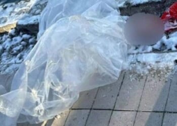 Horror as little boy's head found in bag with no body - 'Covered in bruises' | World | News