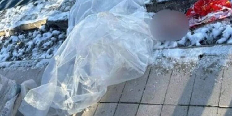 Horror as little boy's head found in bag with no body - 'Covered in bruises' | World | News