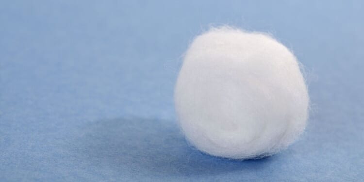 Households urged to put cotton wool on windowsills in November | UK | News