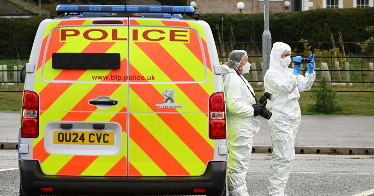 Huntingdon train stabbings: 3 big questions police haven't answered | UK | News