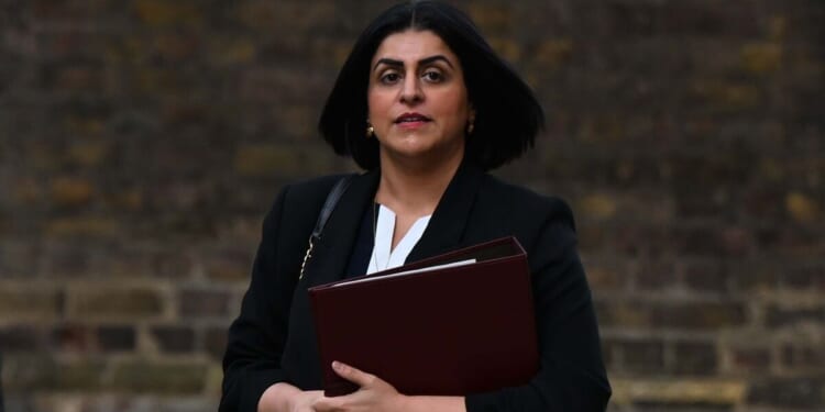 Illegal migrants to be offered more money to leave UK in bombshell change | Politics | News