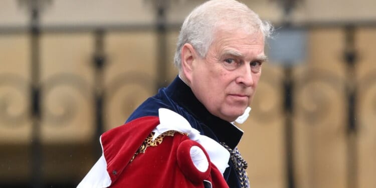 Jeffrey Epstein describes Andrew in 3 words in new bombshell emails | Royal | News