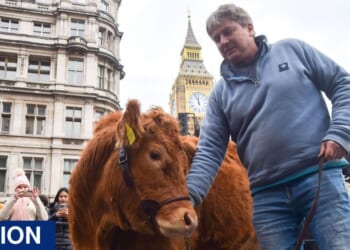 Keir Starmer, farmers are dying and in anguish – you must hear their heartbreaking stories | Politics | News