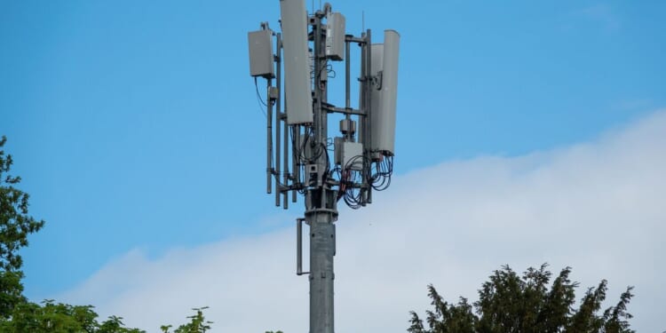 Labour threatening rural broadband crisis amid rental rows | Politics | News