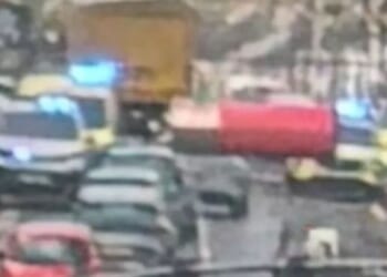 Loftus dog attack: Pensioner mauled by huge dog as police swarm street | UK | News