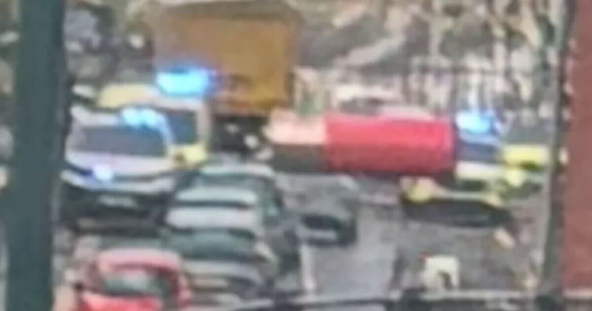 Loftus dog attack: Pensioner mauled by huge dog as police swarm street | UK | News