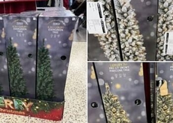Major supermarket's 'evergreen tree' name change sparks fury | UK | News