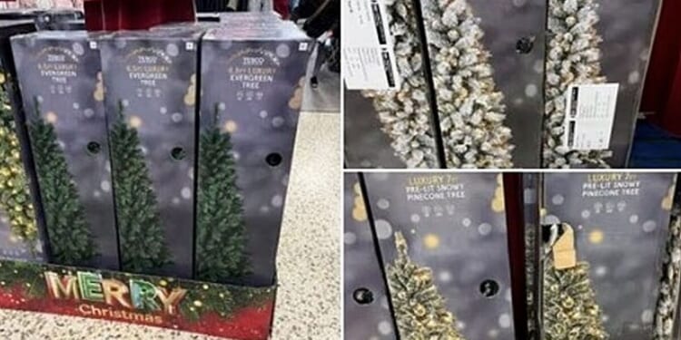 Major supermarket's 'evergreen tree' name change sparks fury | UK | News