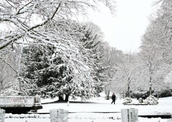 Met Office issues 18-hour warning update as snow and ice to batter 47 areas | Weather | News