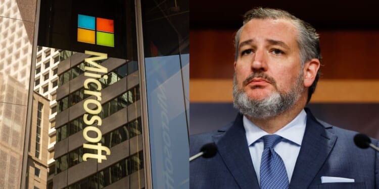 Microsoft Told Ted Cruz It Had Nothing To Do With NewsGuard. Then It Scrubbed Its Website.