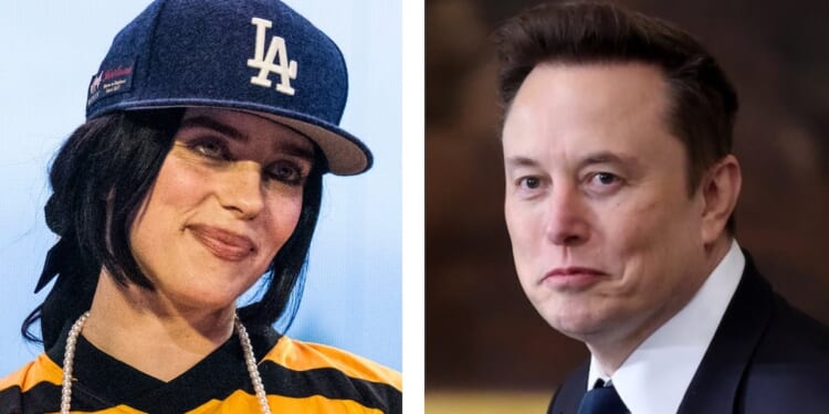 Millionaire Billie Eilish Curses Out Elon Musk For Not Solving World Hunger With His Wallet