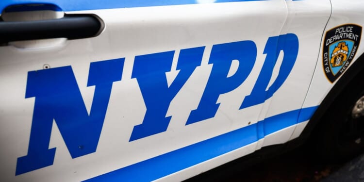 NYPD Commissioner Wants More Police, Mamdani Says Current Number ‘Sufficient’