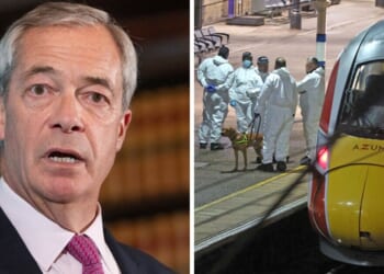 Nigel Farage issues demand as he releases statement on train stabbings | Politics | News