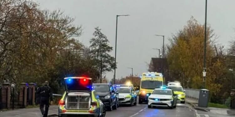 Nottingham stabbing LIVE: Man, 20, stabbed to death in St Ann's as murder manhunt launched | UK | News