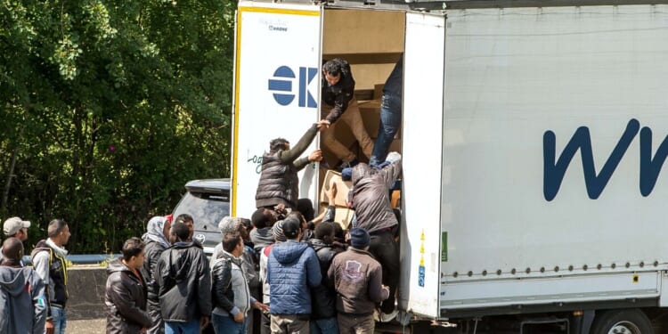 Organised criminal gangs recruiting British HGV drivers for smuggling migrants | UK | News