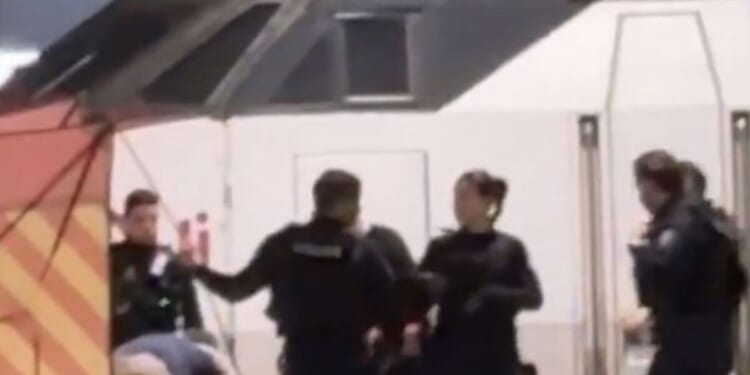 Paris shooting LIVE: Man 'shot by police' as Montparnasse train station evacuated | World | News